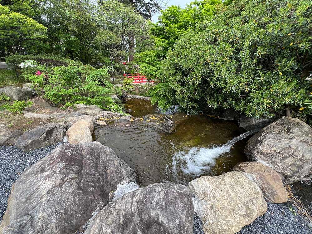 池泉庭園