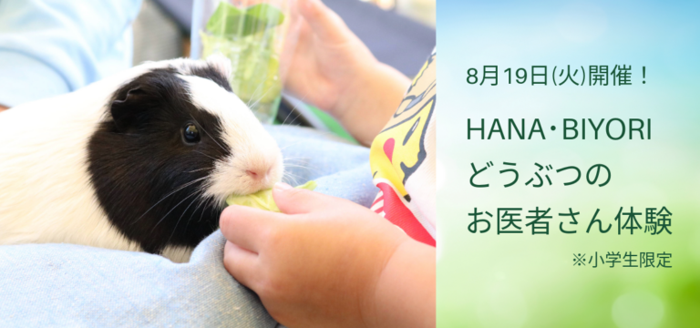 はなびより 新感覚フラワーパーク【HANA・BIYORI】