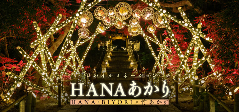 和のイルミネーション HANAあかり