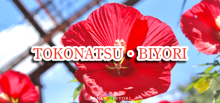TOKONATSU・BIYORI