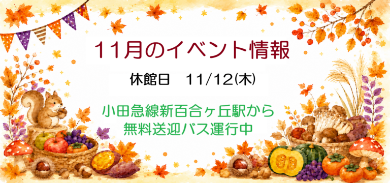 11月のイベント！✿11/14(土)本まぐろ解体ショー開催！