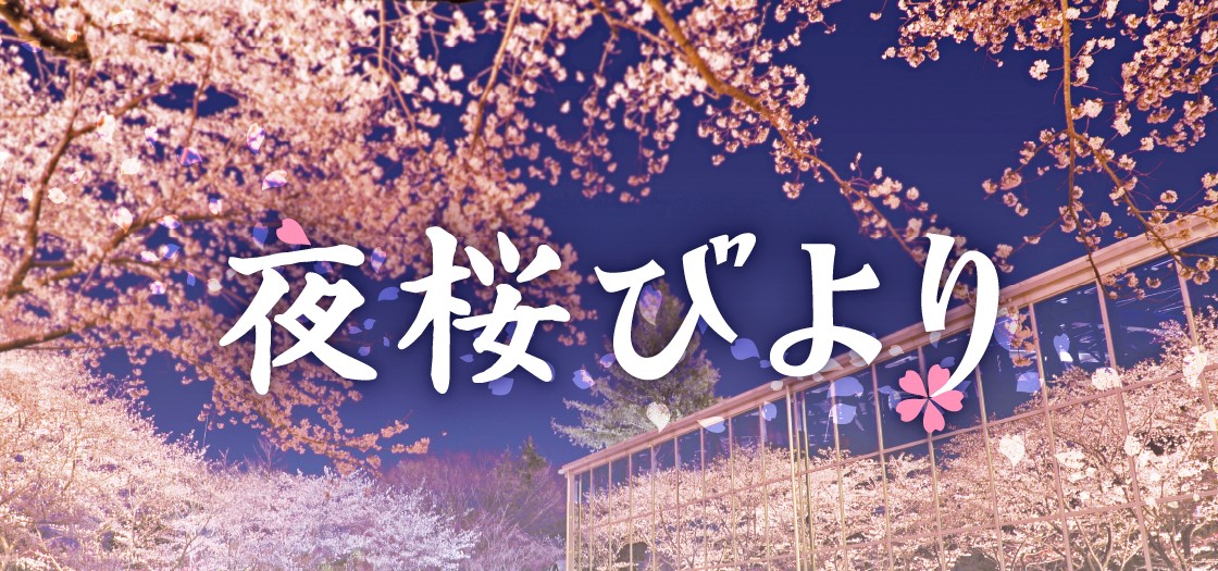 桜のライトアップイベント！夜桜びより