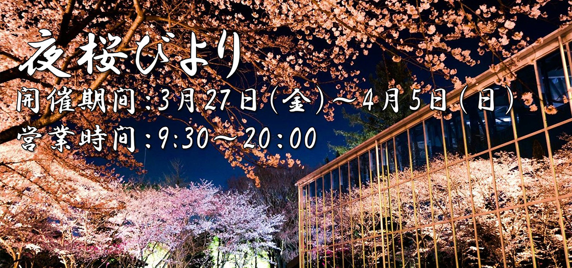 期間限定で桜のライトアップを開催｜【HANA・BIYORI】新感覚フラワーパーク