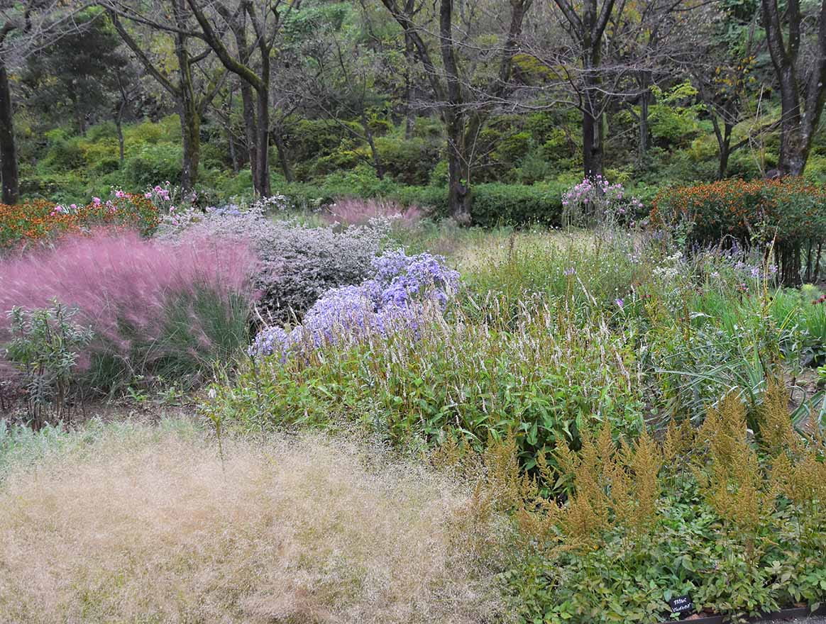 PIET OUDOLF GARDEN TOKYO