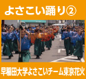 よさこい踊り２：早稲田大学よさこいチーム東京花火