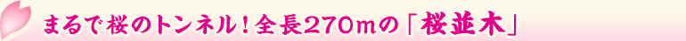 ܂ō̃glIS270ḿu؁v