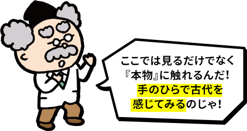 ここでは見るだけでなく『本物』に触れるんだ！手のひらで古代を感じてみるのじゃ！