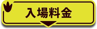 入場料金
