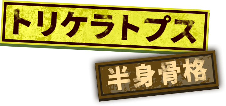 トリケラトプス半身骨格