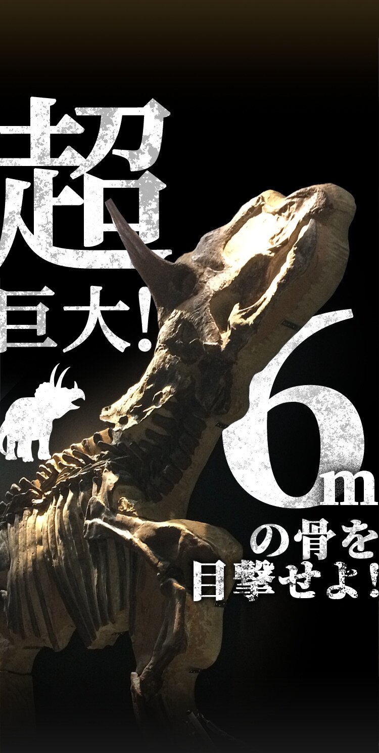 超巨大！6mの骨を目撃せよ！