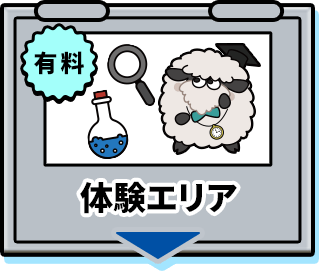 体験エリア
