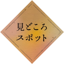 見どころスポット