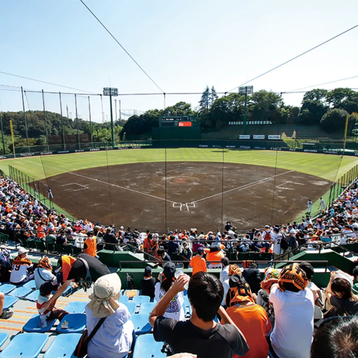 おすすめポイントの画像