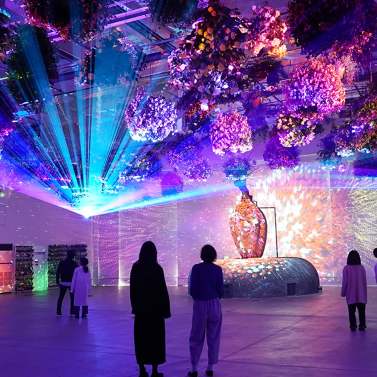 おすすめポイントの画像