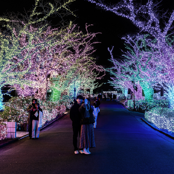 CELEBRATION · PROMENADE