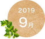 2019年9月