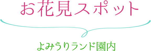 お花見スポット