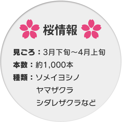 桜情報 見ごろ：3月下旬〜4月上旬 本数：約1,000本 種類：ソメイヨシノ ヤマザクラ シダレザクラなど