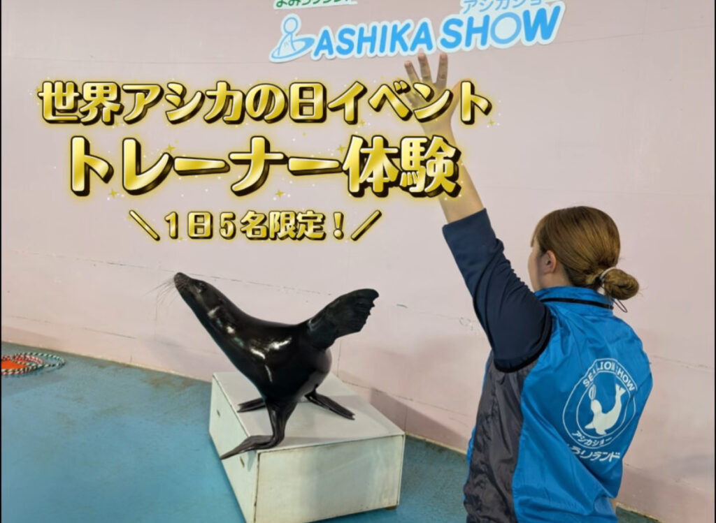 世界アシカの日イベント『アシカショートレーナー体験！』