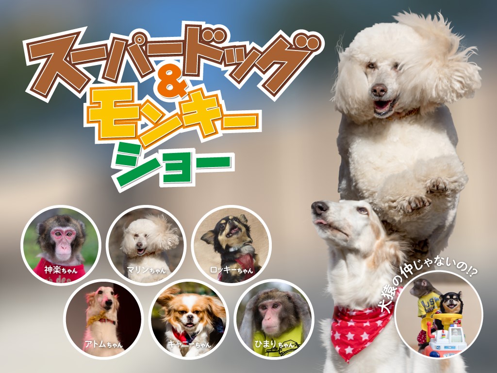 日本猿と犬によるステージショー「スーパードッグ＆モンキーショー」開催！